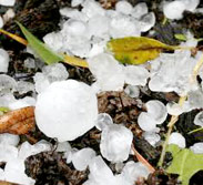 Case Study - Perth Hail Storm 2010