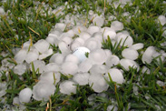 Hail Storm